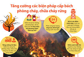 Bảo vệ rừng và phòng cháy chữa, cháy rừng trong mùa nắng nóng