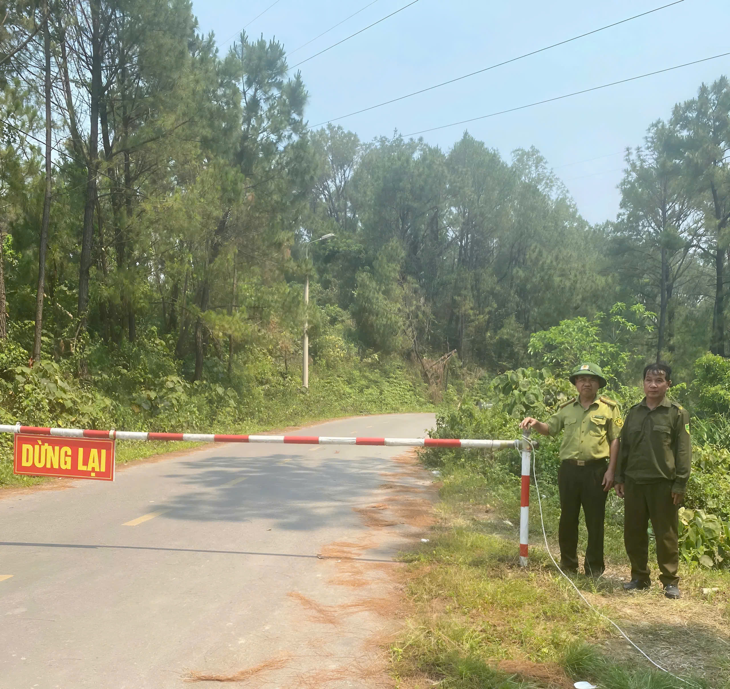 Chủ tịch UBND phường Bắc Hồng Lĩnh ra công điện cấp bách phòng cháy, chữa cháy rừng