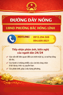 THÔNG TIN ĐƯỜNG DÂY NÓNG