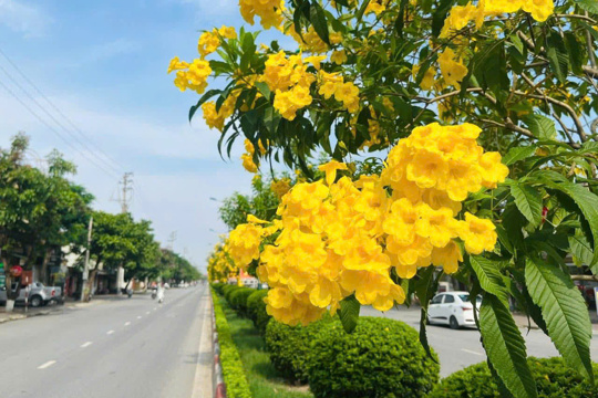 Nghị quyết về điều chỉnh tăng kế hoạch vốn danh mục đầu tư công năm 2025 