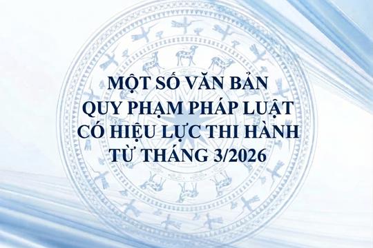 Một số văn bản quy phạm pháp luật có hiệu lực thi hành từ tháng 3/2026
