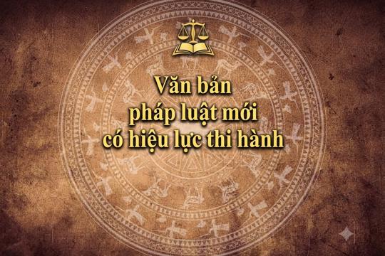 Văn bản quy phạm pháp luật có hiệu lực thi hành từ tháng 02/2026