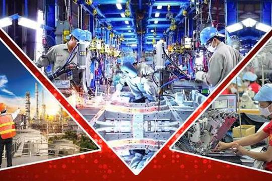 Thống kê các doanh nghiệp trên địa bàn phường Bắc Hồng Lĩnh
